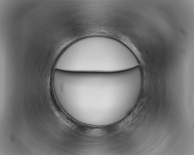 X0000111210058200907011059