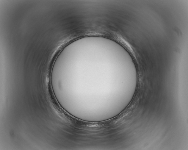 X0000111210059200907011059