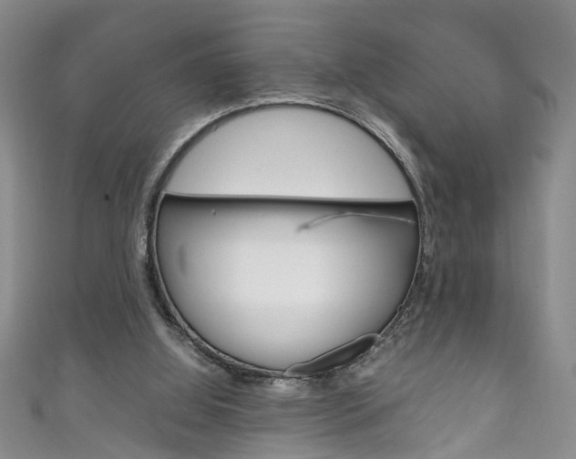 X0000111210060200907011059