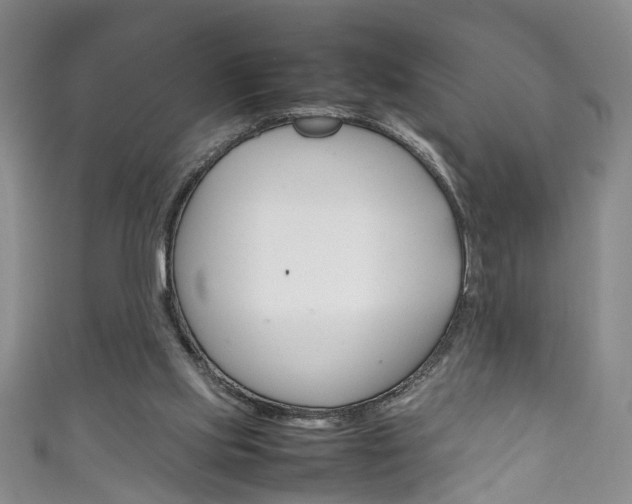 X0000111210061200907011059