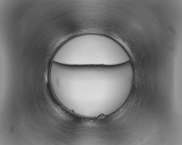 X0000111210062200907011100