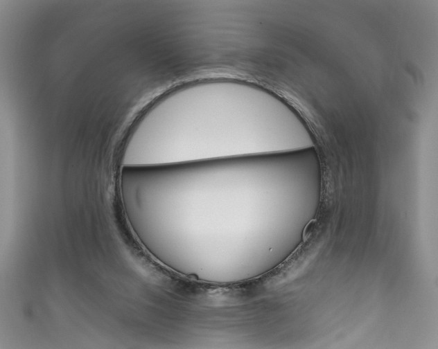 X0000111210064200907011100