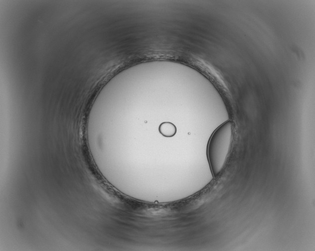 X0000111210065200907011100