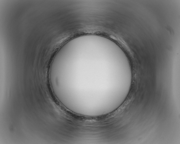 X0000111210066200907011100