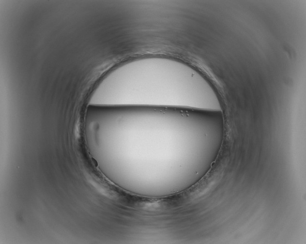 X0000111210068200907011100