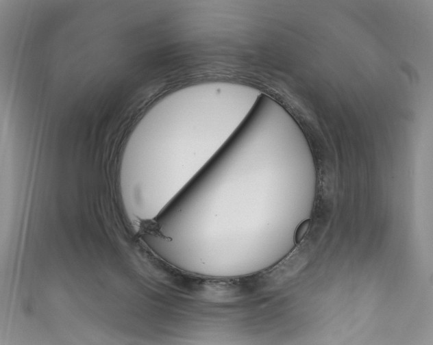 X0000111210070200907011100