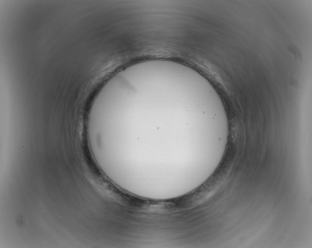 X0000111210072200907011100