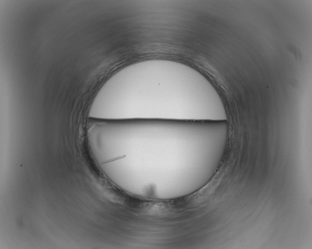 X0000111210074200907011100