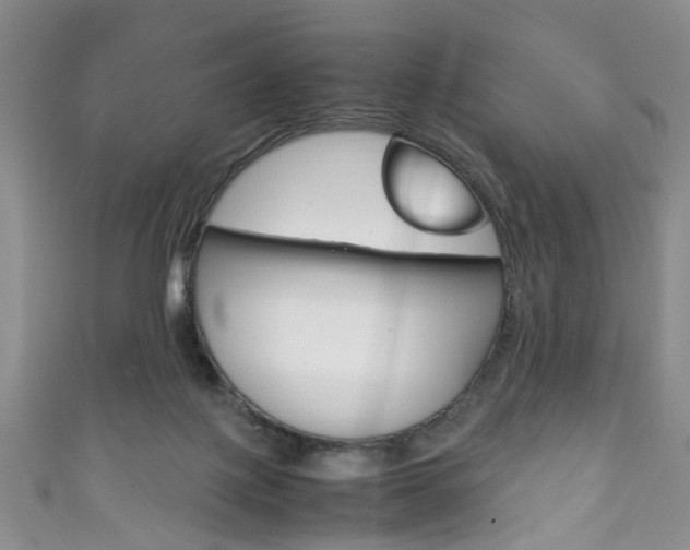 X0000111210075200907011100