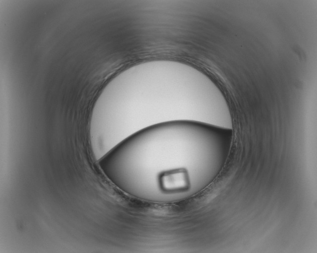 X0000111210076200907011100