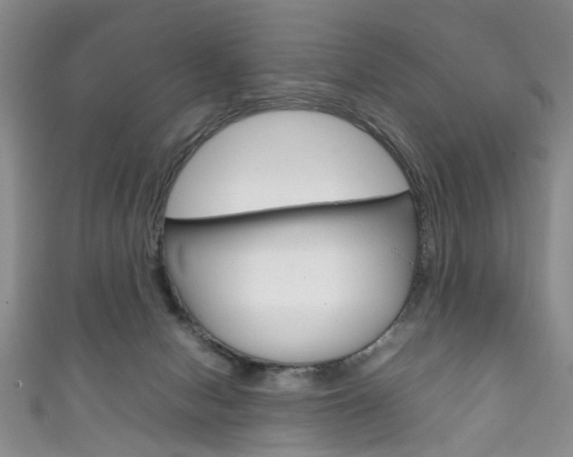 X0000111210078200907011100