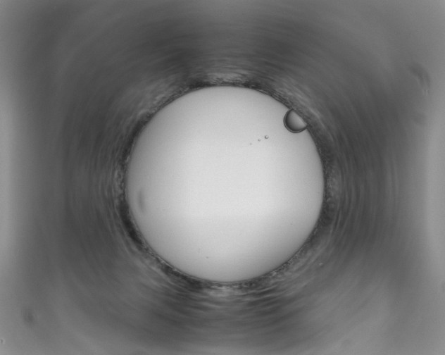 X0000111210079200907011100