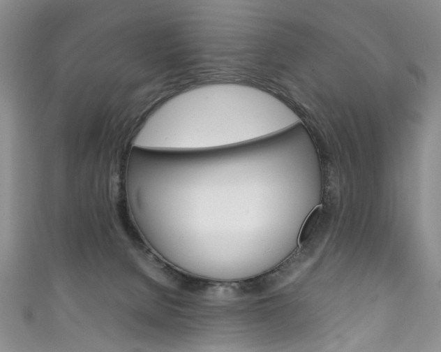 X0000111210080200907011100