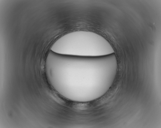 X0000111210081200907011100