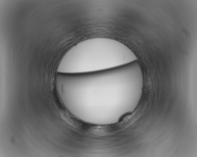 X0000111210082200907011100