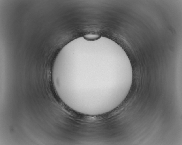 X0000111210083200907011100