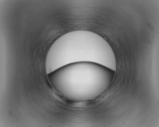 X0000111210084200907011100