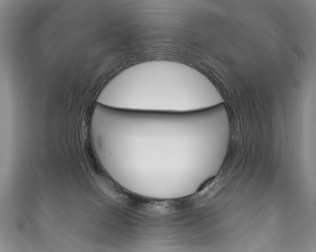 X0000111210086200907011100