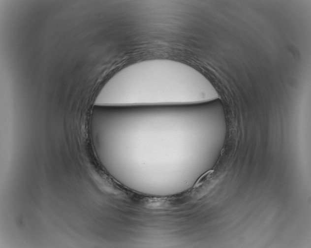 X0000111210088200907011100