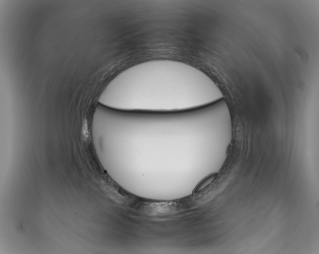 X0000111210089200907011100