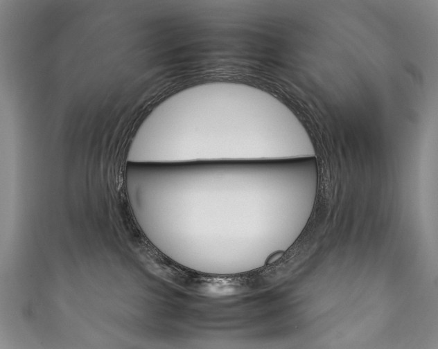 X0000111210091200907011100