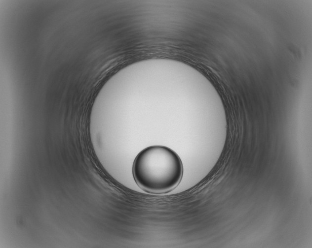 X0000111210092200907011100