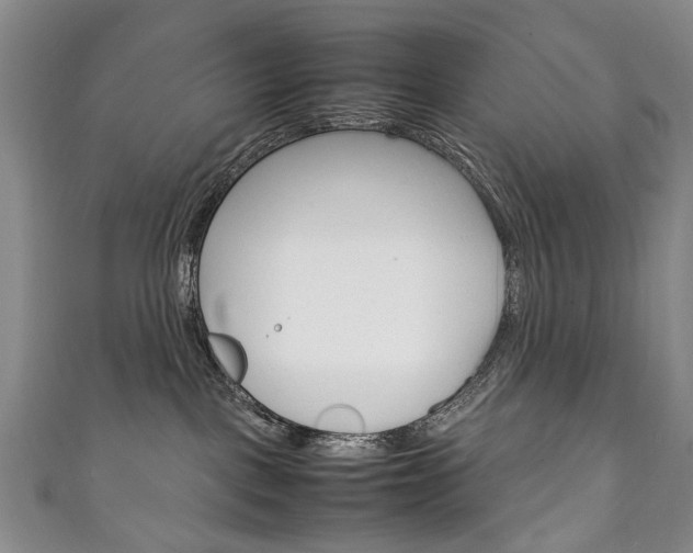 X0000111210093200907011100