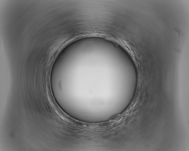 X0000111210097200907011059