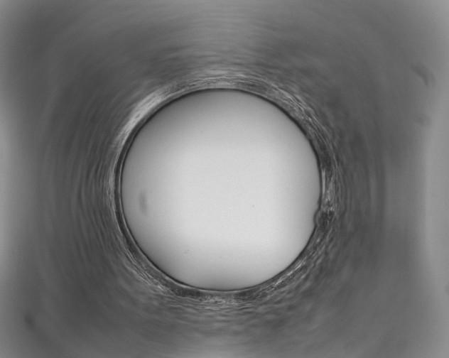 X0000111210099200907011059