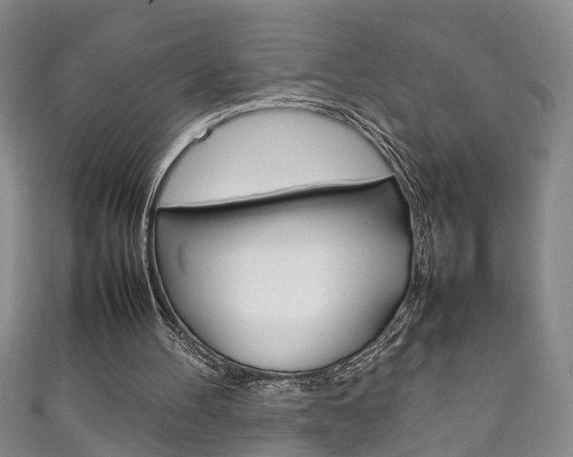 X0000111210100200907011059