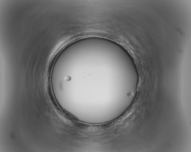 X0000111210101200907011059