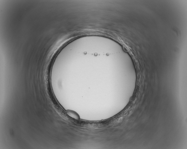 X0000111210103200907011059