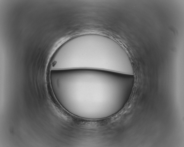 X0000111210104200907011059