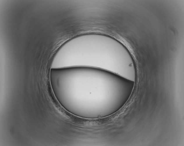 X0000111210105200907011059