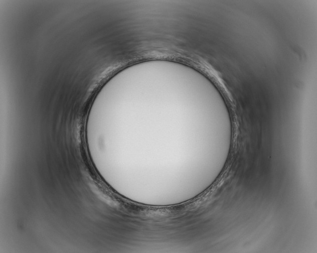 X0000111210106200907011059