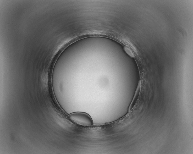 X0000111210108200907011059