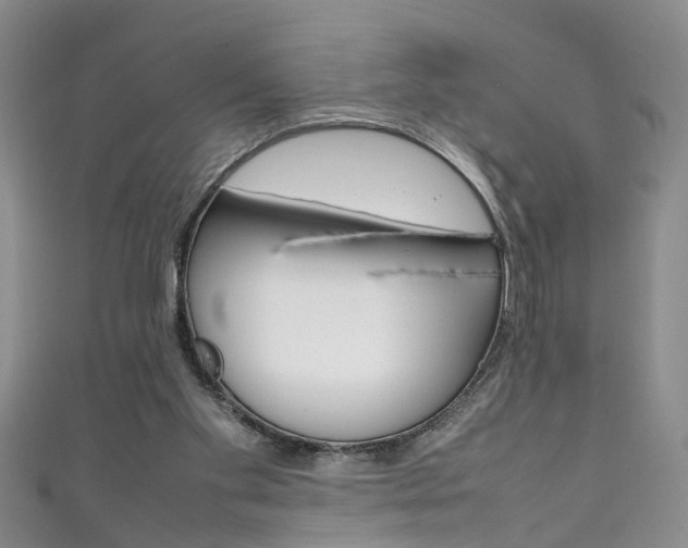 X0000111210109200907011059