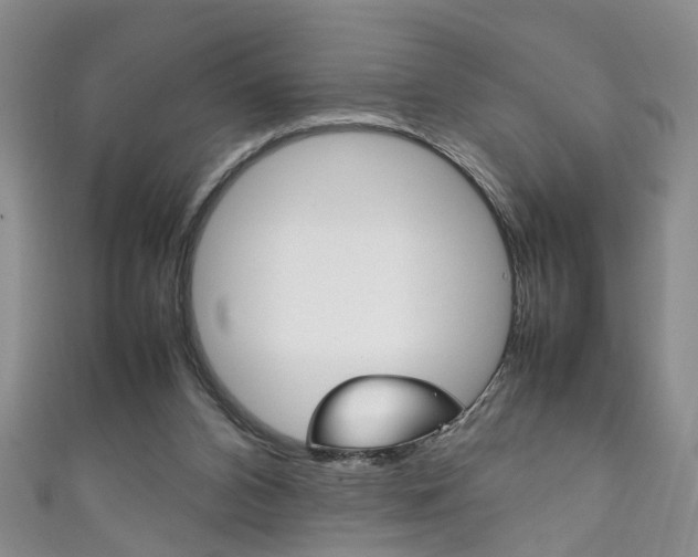 X0000111210112200907011059