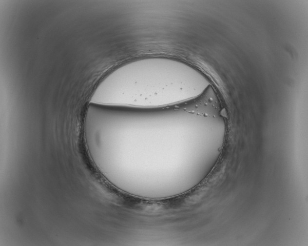 X0000111210113200907011059