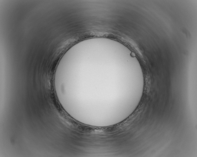 X0000111210114200907011059