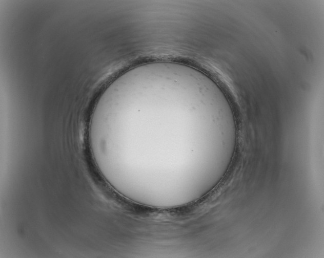 X0000111210115200907011059