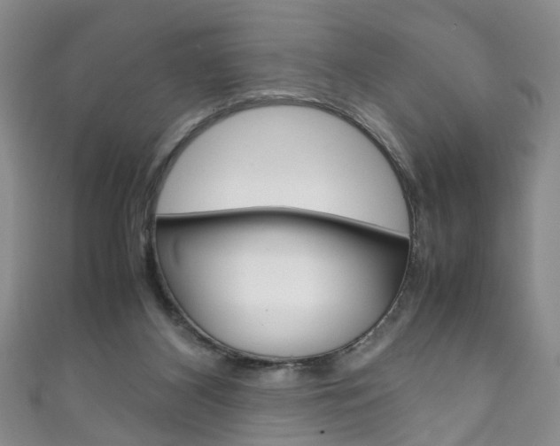 X0000111210116200907011059