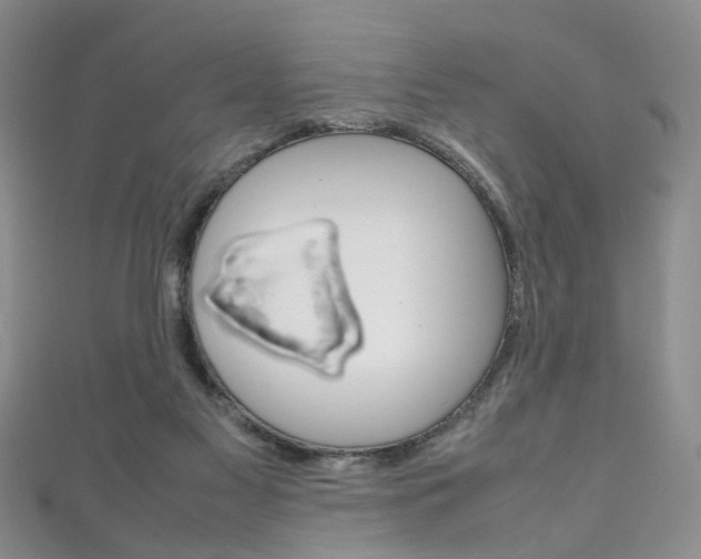 X0000111210117200907011059