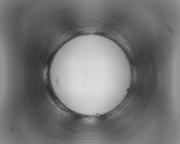 X0000111210118200907011059