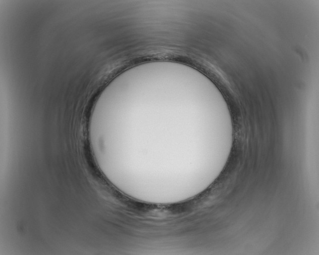 X0000111210119200907011059