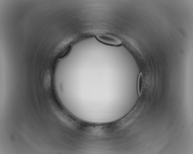 X0000111210120200907011059