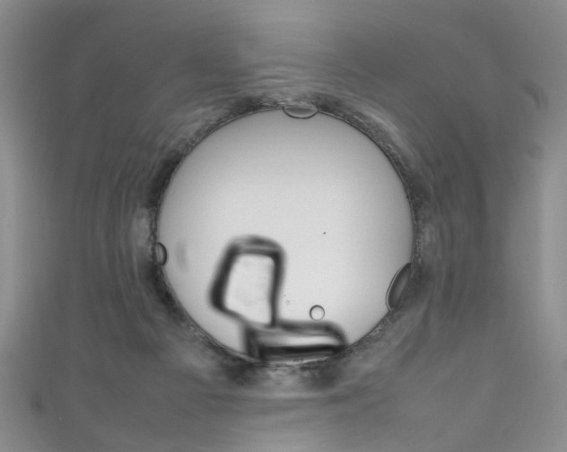 X0000111210121200907011059