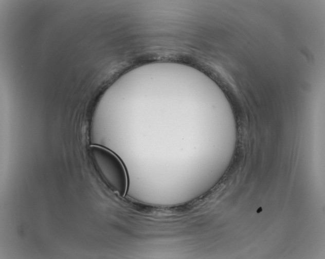 X0000111210123200907011059