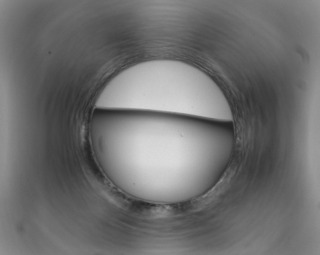 X0000111210124200907011059