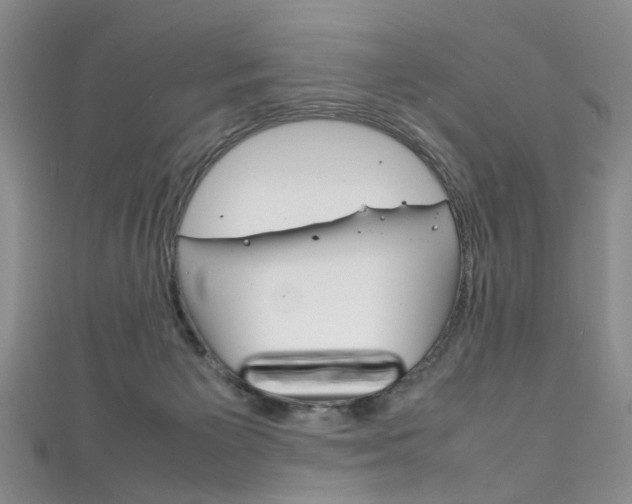 X0000111210125200907011059